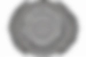 round minimalistic ethnic ornament tattoo idea