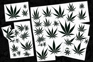 cannabis board, blue eye in the center tattoo idea