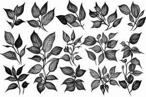 black ivy drawn in pencil tattoo idea