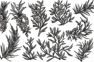 juniper berries tattoo idea