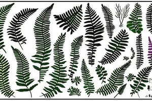 kiwi fern in a strip tattoo idea