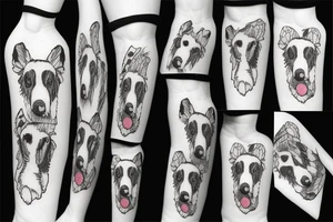 border collie's mentre gioca con un freesbe tattoo idea