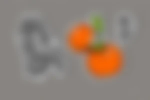 An Orange with a sticker with the letter R inside tattoo idea