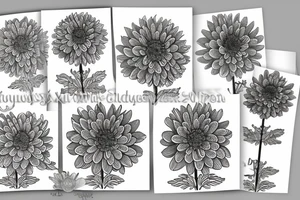 chrysanthemum tattoo idea