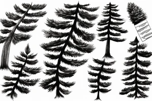 An araucaria pine tree tattoo idea