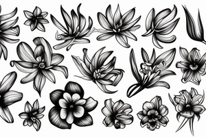 Lycoris the flower tattoo idea