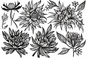 water hemlock flower tattoo idea
