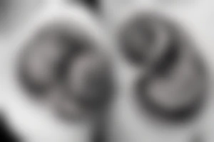 snail crawling on the globe tattoo idea