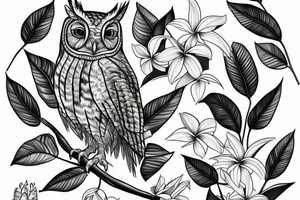 An eastern screech owl with plumeria flowers and tropical leaves. tattoo idea