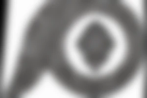 A small design with the words ‘Sairam’ and ‘Reeshma’ , the design should be in the form of a straight line tattoo idea