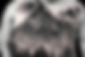 a guy and an angry bear in a forest sunset behind the mountains tattoo idea