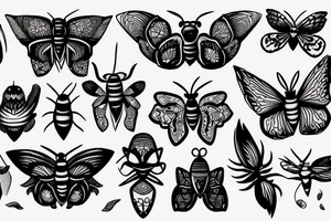 moth tattoo idea
