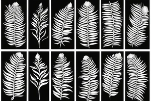 Rose wrapped around a silver fern tattoo idea