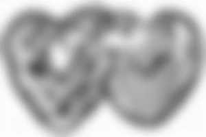Human heart in a Food Processor. Fineline tattoo idea