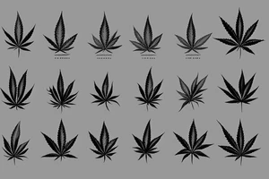 Marijuana tattoo idea
