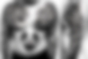 Panda bear with black semicolon on stomach tattoo idea