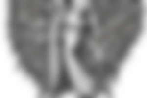 angel seraphim tattoo idea