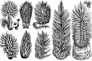 Araucaria tattoo idea