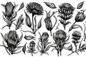 cornflower tattoo idea