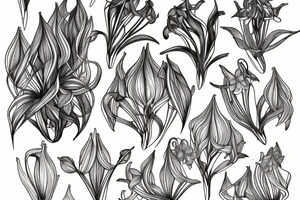 Cluster amaryllis on black sketch tattoo idea