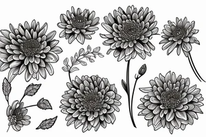 chrysanthemums
black backing 
sleeve tattoo idea