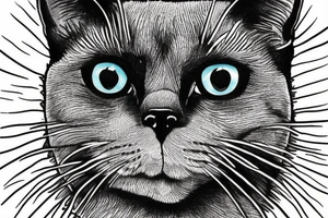 Face of a cat from the front. the cat has completly black fur. the cat is a british shorthair tattoo idea