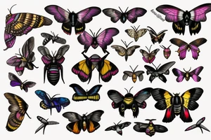 African deaths head hawk moth and elephant hawk moth tattoo idea