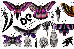 African deaths head hawk moth and elephant hawk moth tattoo idea