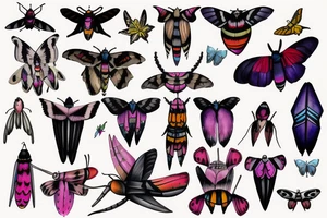 African deaths head hawk moth and elephant hawk moth tattoo idea