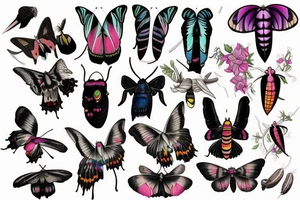 African deaths head hawk moth and elephant hawk moth tattoo idea