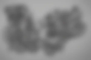 cursive writing that says "Helen" tattoo idea