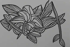 plumeria line drawing for collar bone tattoo idea