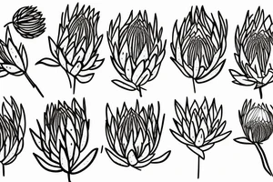 Abstract single line drawing of a protea flower tattoo idea
