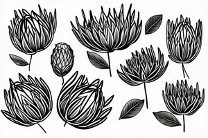 Abstract single line drawing of a protea flower with very few lines tattoo idea