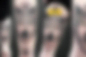 white wolf with yellow 
eyes tattoo idea