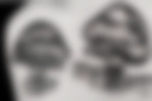 Death reaper mushroom tattoo idea
