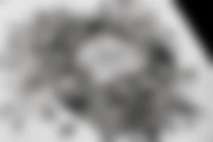"Vivimus ut moriamur" in roman typography and quoted in text 
surrounded by lilies and galaxies tattoo idea