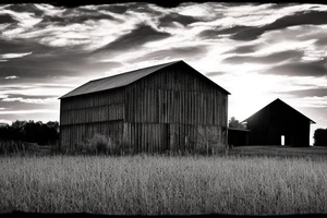 An image for a tattoo of an old weathered red barn with the setting sun in the background. Make everything black and white except the red barn and setting sun. tattoo idea