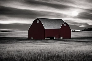 An image for a tattoo of an old weathered red barn with the setting sun in the background. Make everything black and white except the red barn and setting sun. tattoo idea