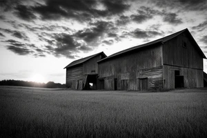 An image for a tattoo of an old weathered red barn with the setting sun in the background. Make everything black and white except the red barn and orange setting sun. tattoo idea