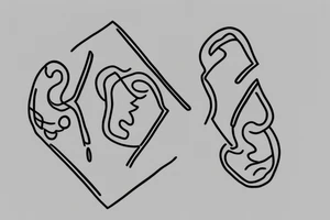 Two sisters. Single line. Minimalist. Simple. Dainty. 1 inch. tattoo idea