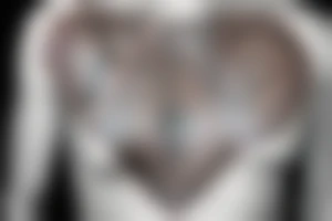 Indian chest tattoo tattoo idea