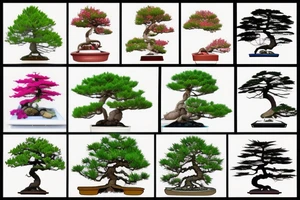 small, cute, colourful bonsai tree tattoo idea